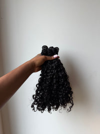 Burmese curly