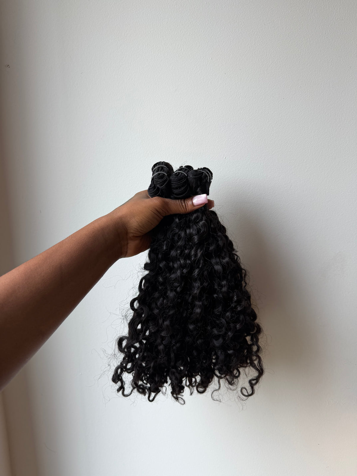 Burmese Curly
