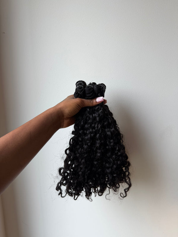 Burmese curly